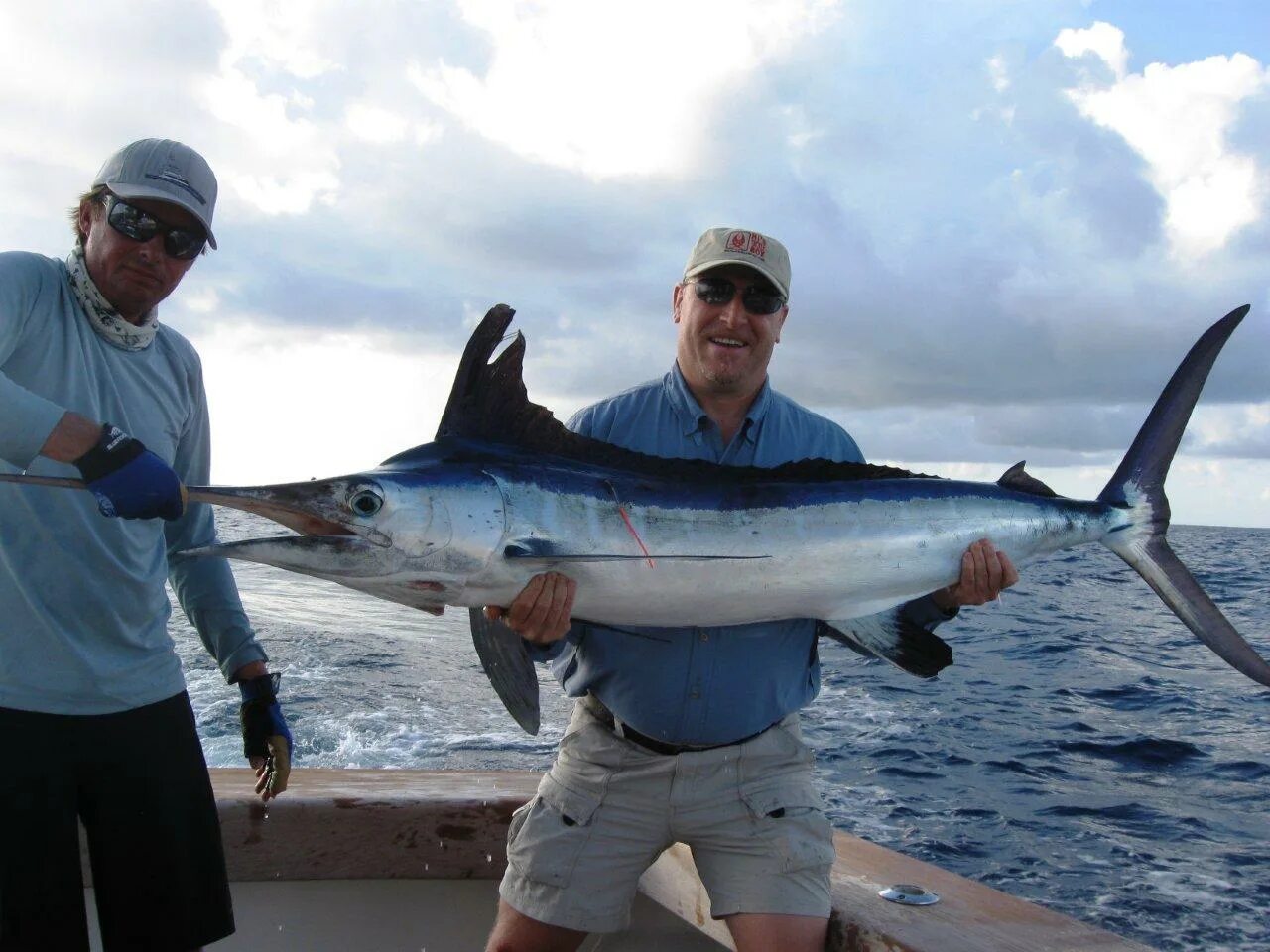 Марлен рыбы фото 1000fish's Blog - Steve Wozniak's hunt for fish species A running account of wha