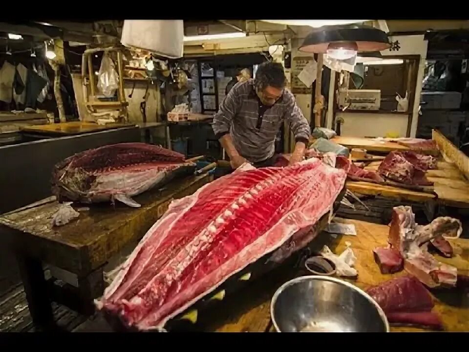 Марлин мясо фото Sea Food Market Karol Bagh New Delhi #walkingtours #walking #walkingtour #walkth