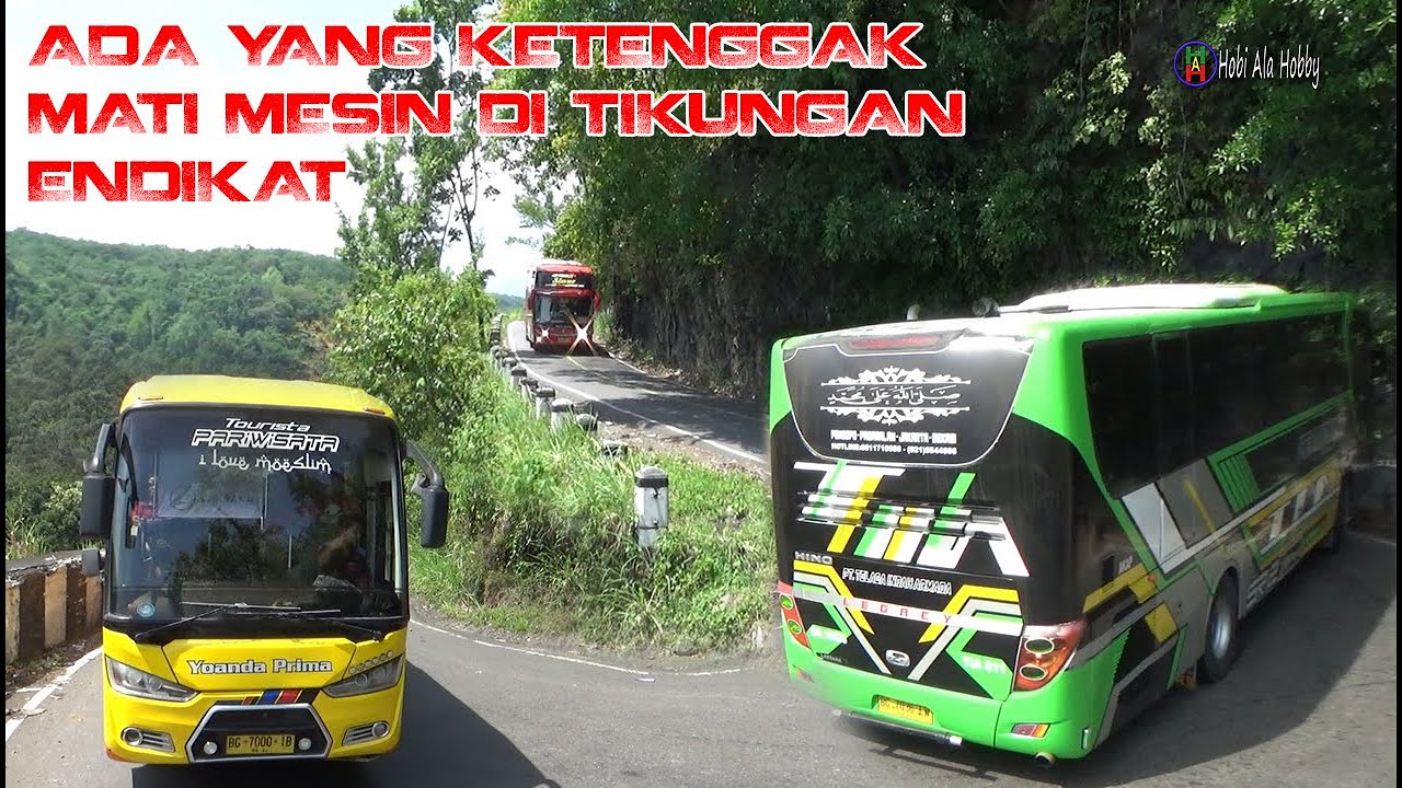 Марлин ооо к1169 фото автобуса BUS MATI MESIN PAS DI TIKUNGAN ENDIKAT . YOANDA PRIMA PERDANA MELINTAS - YouTube