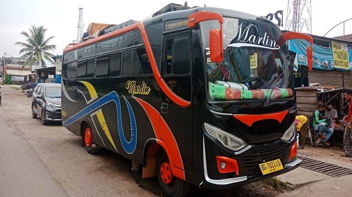Марлин ооо к1169 фото автобуса marlin travel bus tours