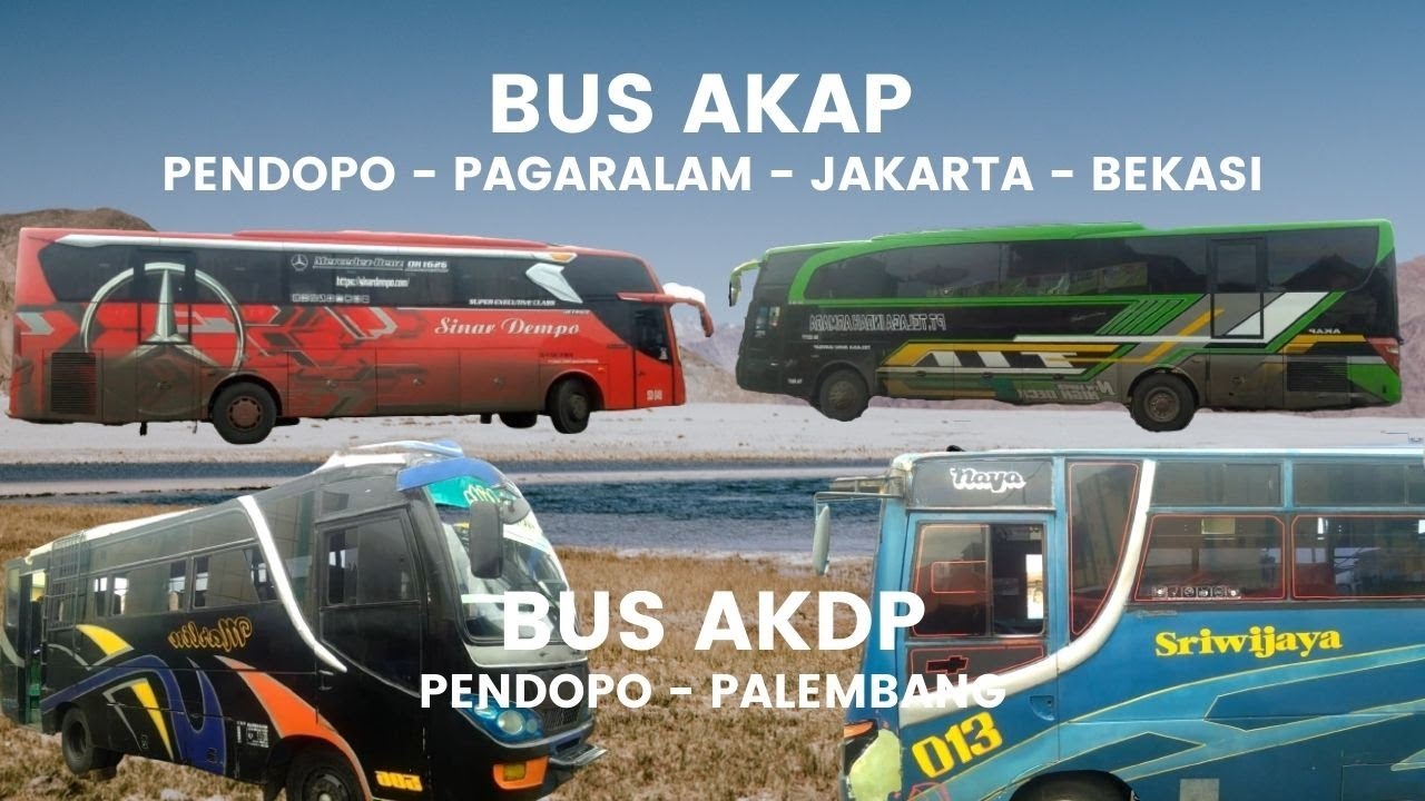 Марлин ооо к1169 фото автобуса BUS SINAR DEMPO 048, BUS SRIWIJAYA 013, BUS TELAGA INDAH ARMADA 00017, BUS MARLI