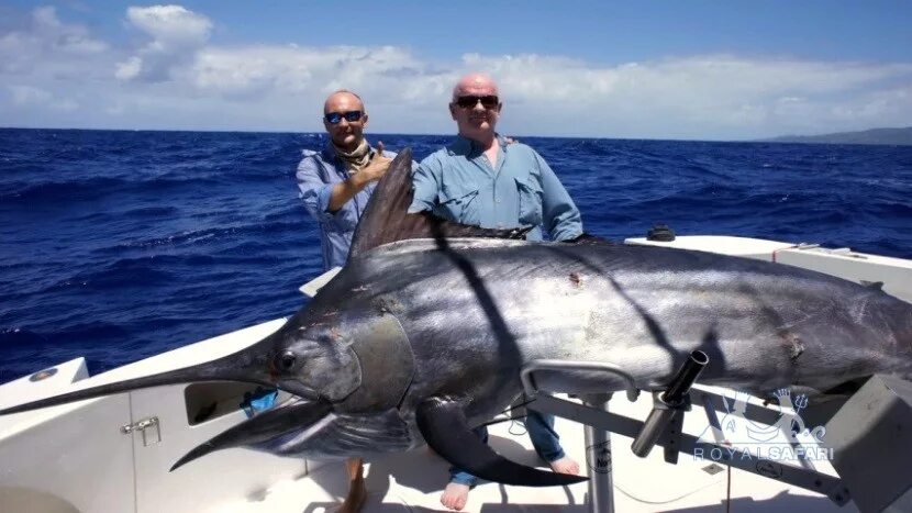 Марлин рыба фото Коста-Рика " Черный марлин (Black marlin, Makaira indica)