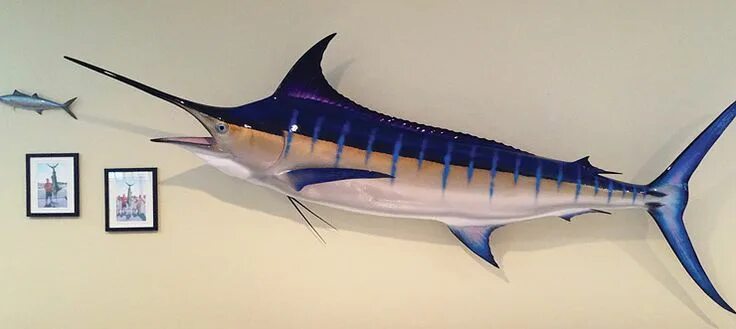 Марлин рыба фото Blue Marlin Fish Replica, mounted Blue Marlin Blue marlin fish, Marlin, Fish mou