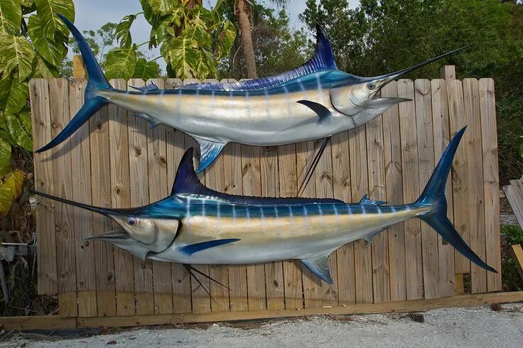 Марлин рыба фото Lots of Blue Marlin choices Blue marlin fish, Blue marlin, Sea life art