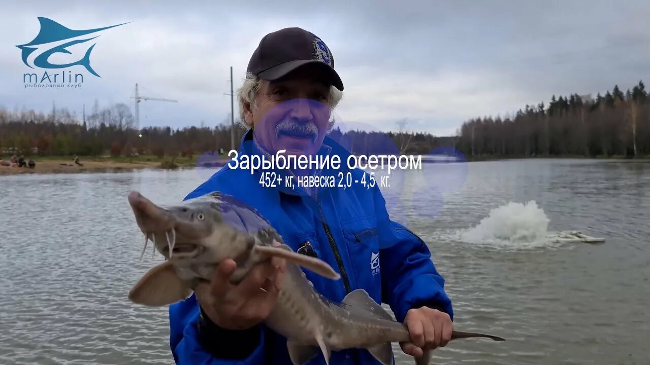 Марлин рыболовный клуб фото Зарыбление осетром 4 ноября. Подмосковье. Осётр. - YouTube