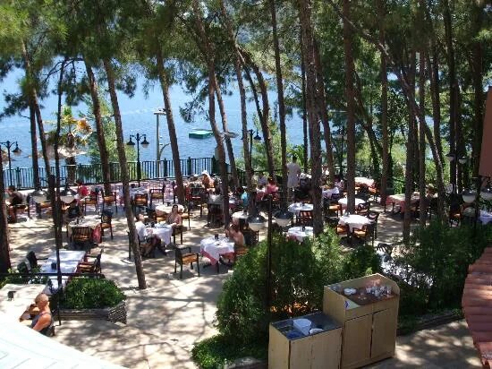 Мармарис турция парк отель 5 отзывы фото there are even some friendly squriles - Picture of Marmaris Park Hotel, Icmeler 