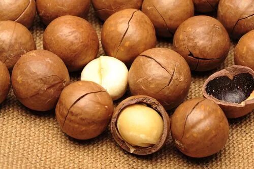 Марокканский орех фото Pin on Fruits, Nuts and Seeds