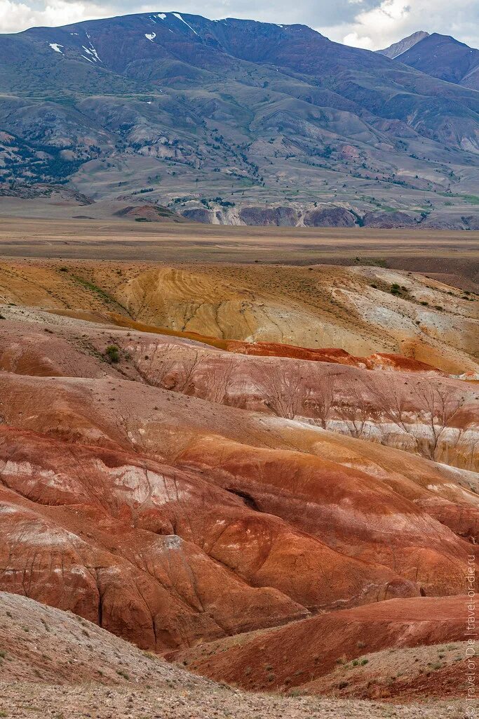Марс горный алтай фото Mars-Kyzyl-Chin-Valley-Altay-9717 Travel-or-Die.ru Flickr