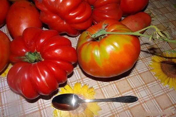 Маршал победа томат отзывы фото описание ✅ Tomato Marshal Pobeda: variety description, yield and cultivation with photo