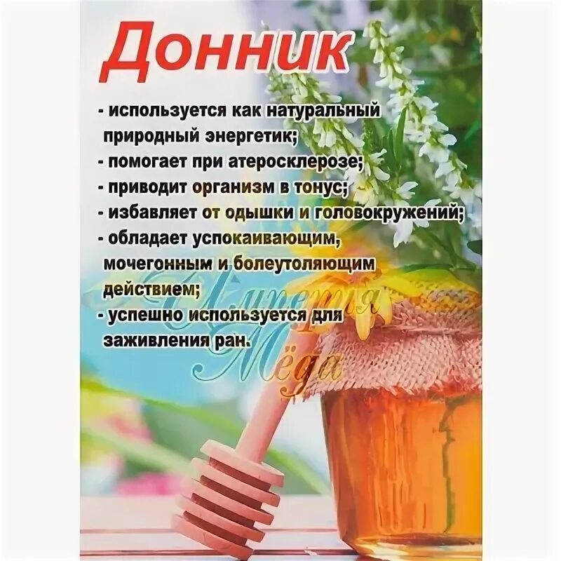 Мед из донника чем полезен фото Мед донник что это за CoffMachines.ru