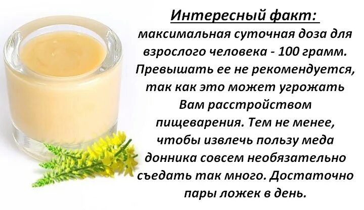 Мед из донника чем полезен фото Мед донник что это за CoffMachines.ru