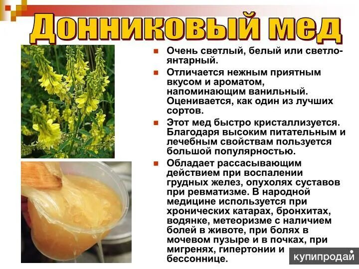 Мед из донника чем полезен фото Мёд цветочный, донниковый в Уфе