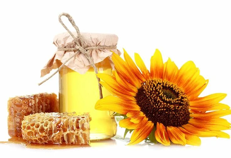 Мед на белом фоне фото Suncokretov med za srčane probleme Sữa ong chúa, Mật ong, Sữa