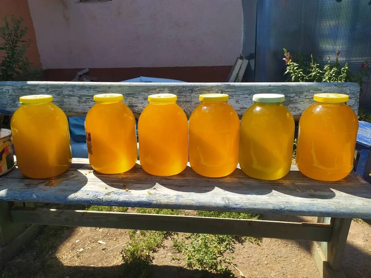 Мед подсолнечника фото Продам мед цветочно-подсолнечный, свежий вкусный, качка 27.08.22, трехлитровая б