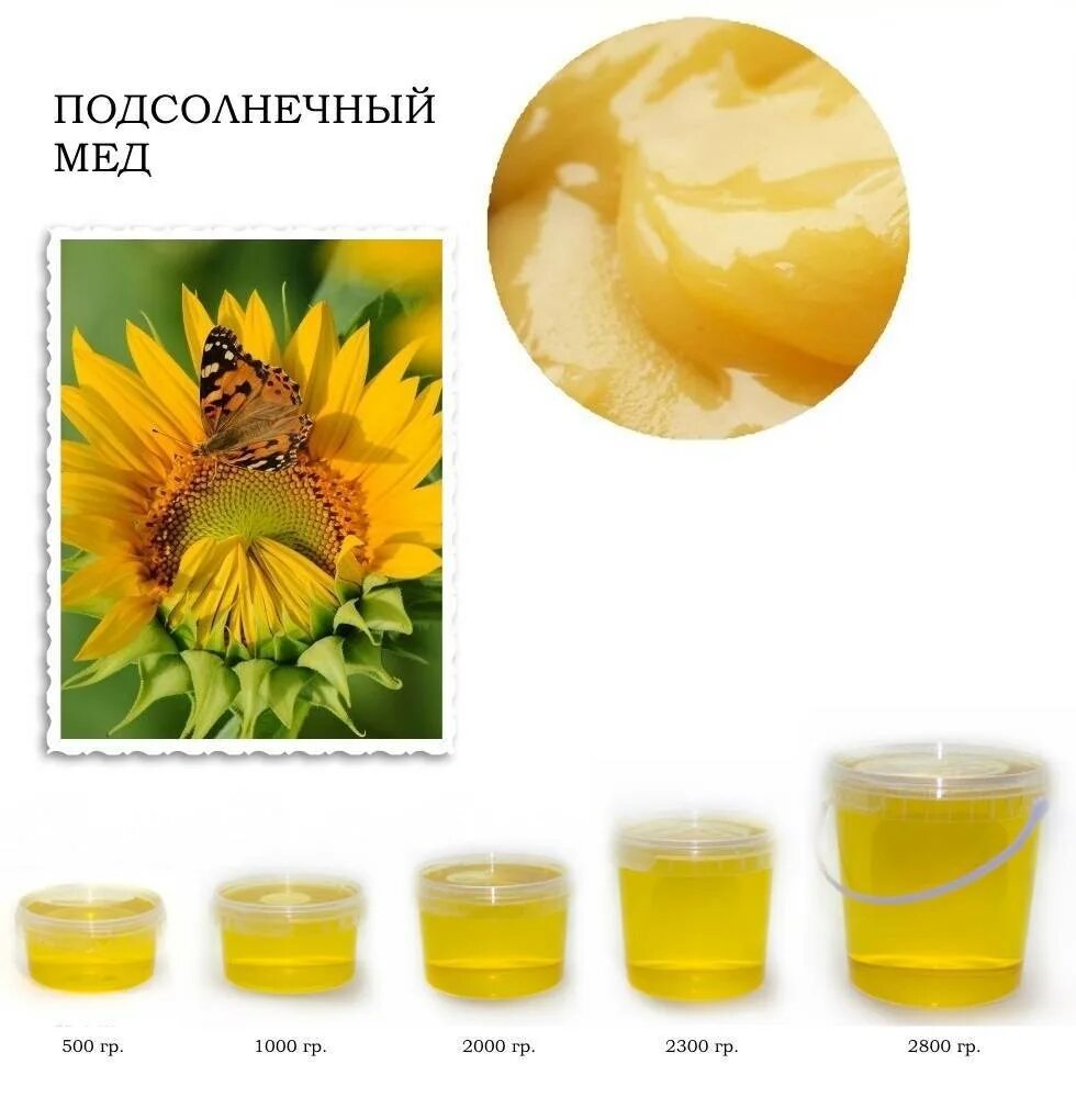 Мед подсолнечника фото и описание Мед подсолнечника CoffMachines.ru