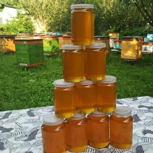 Мед продажа фото Кориандр, цена 4 р. купить в Могилеве на Куфаре - Объявление № 220571844