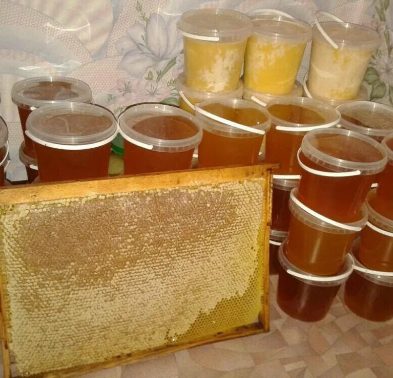 Мед продажа фото Мёд - купить в Бийске, цена 1 000 руб., продано 7 апреля 2018 - Продукты питания