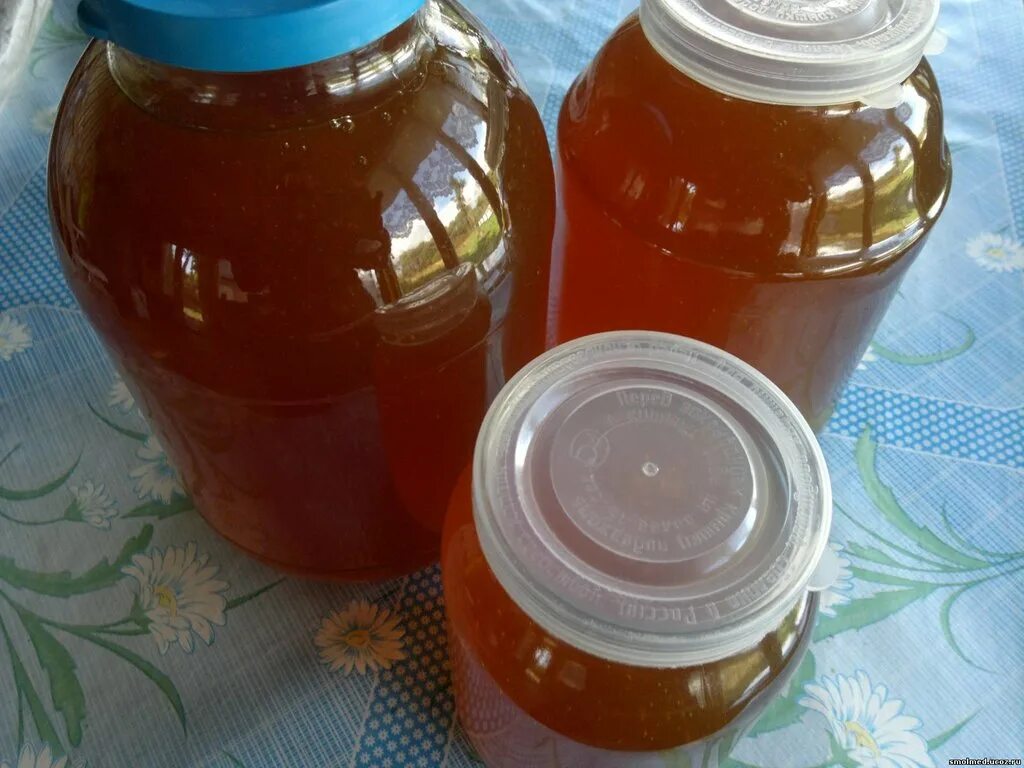 Мед продажа фото Смоленский мёд, мёд и продукты пчеловодства, ул. Мира, 4, д. Лонница - Яндекс Ка