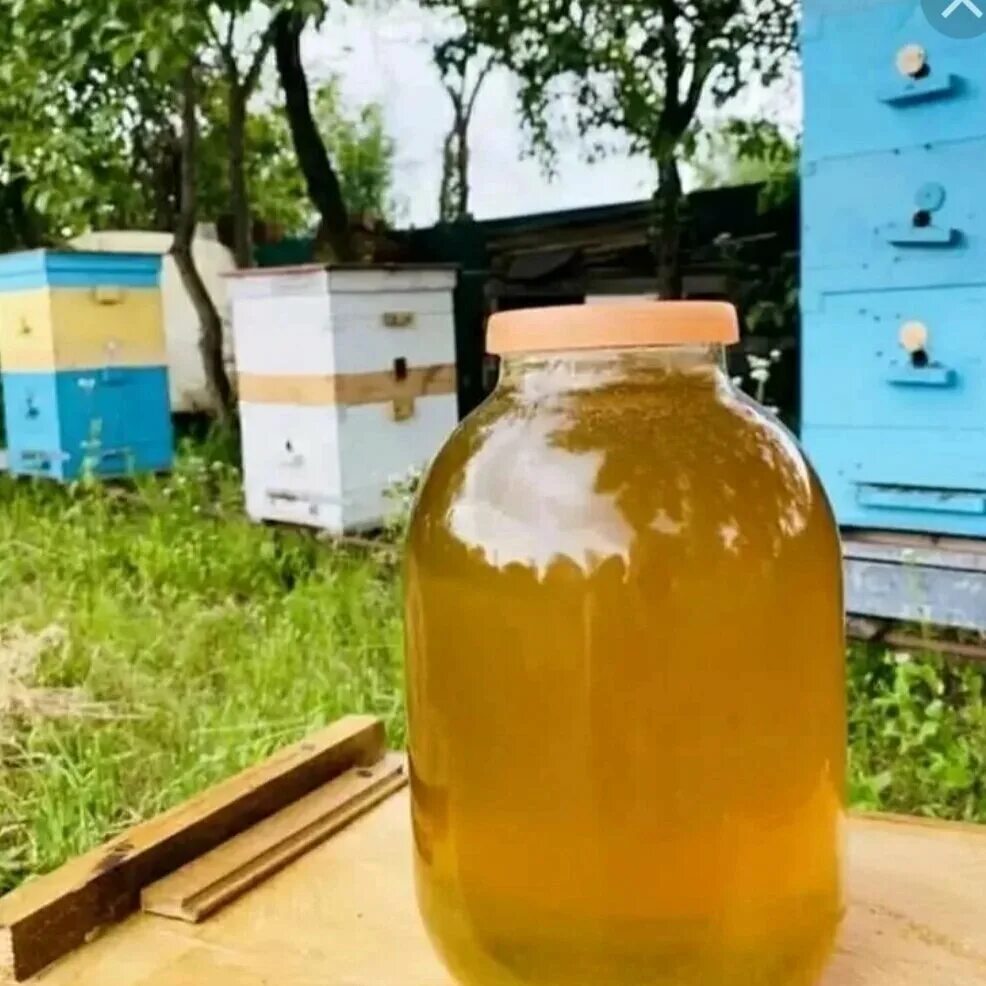 Мед продажа фото Тамбовский деревенский мед, мёд и продукты пчеловодства, Можайское ш., 45А, Один