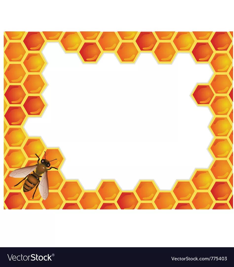 Мед рамка для фото Bee with honeycomb Royalty Free Vector Image - VectorStock