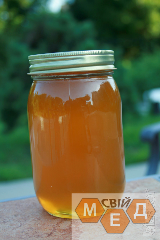 Мед рапсовый как выглядит фото и описание Rape honey from the apiary "Own honey" - Buy on www.bizator.com