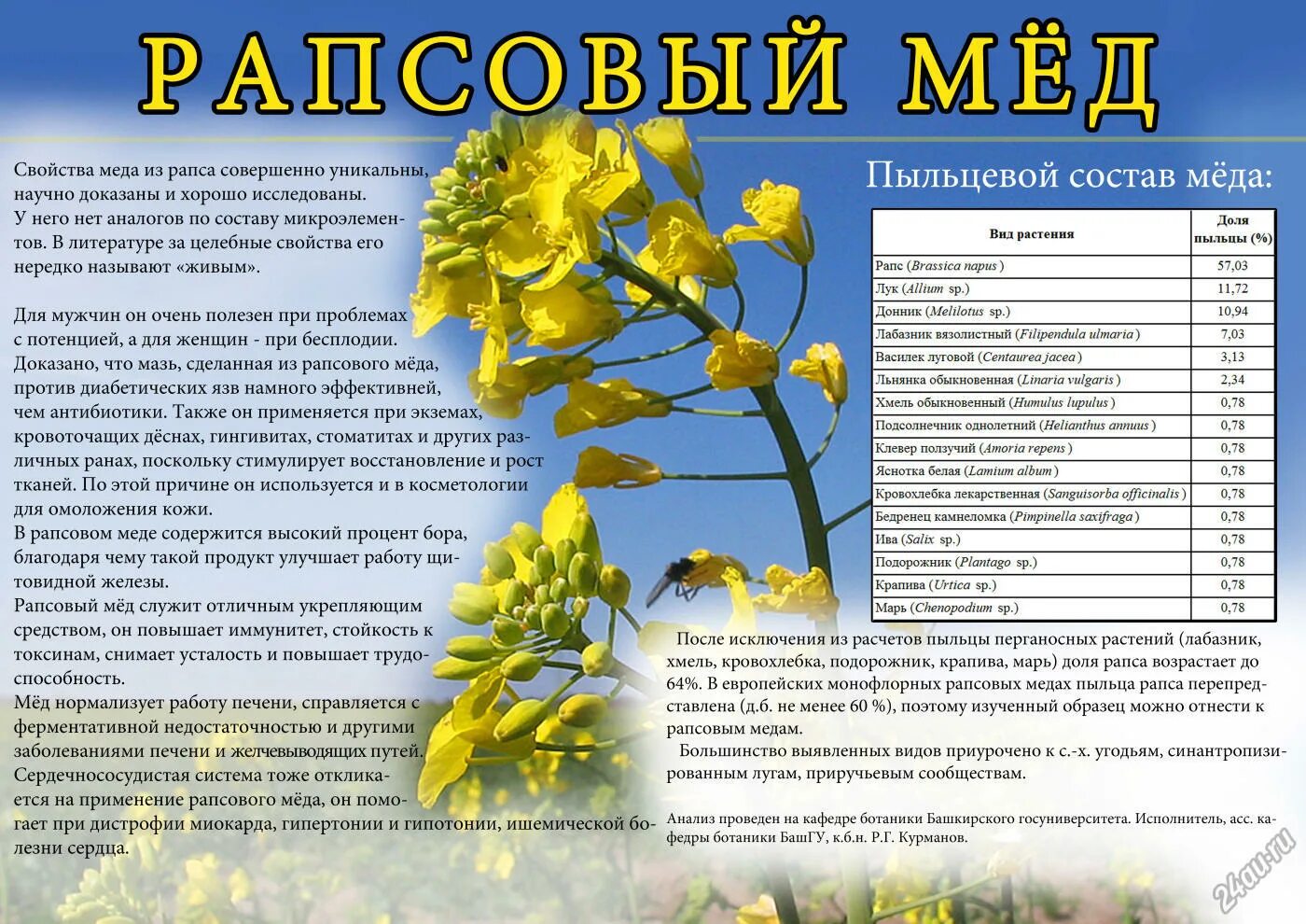 Мед рапсовый как выглядит фото и описание Что делают из рапса в россии фото - Arhids.ru