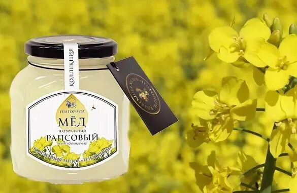 Мед рапсовый как выглядит фото и описание Рапсовый мед полезные свойства eCookie.ru