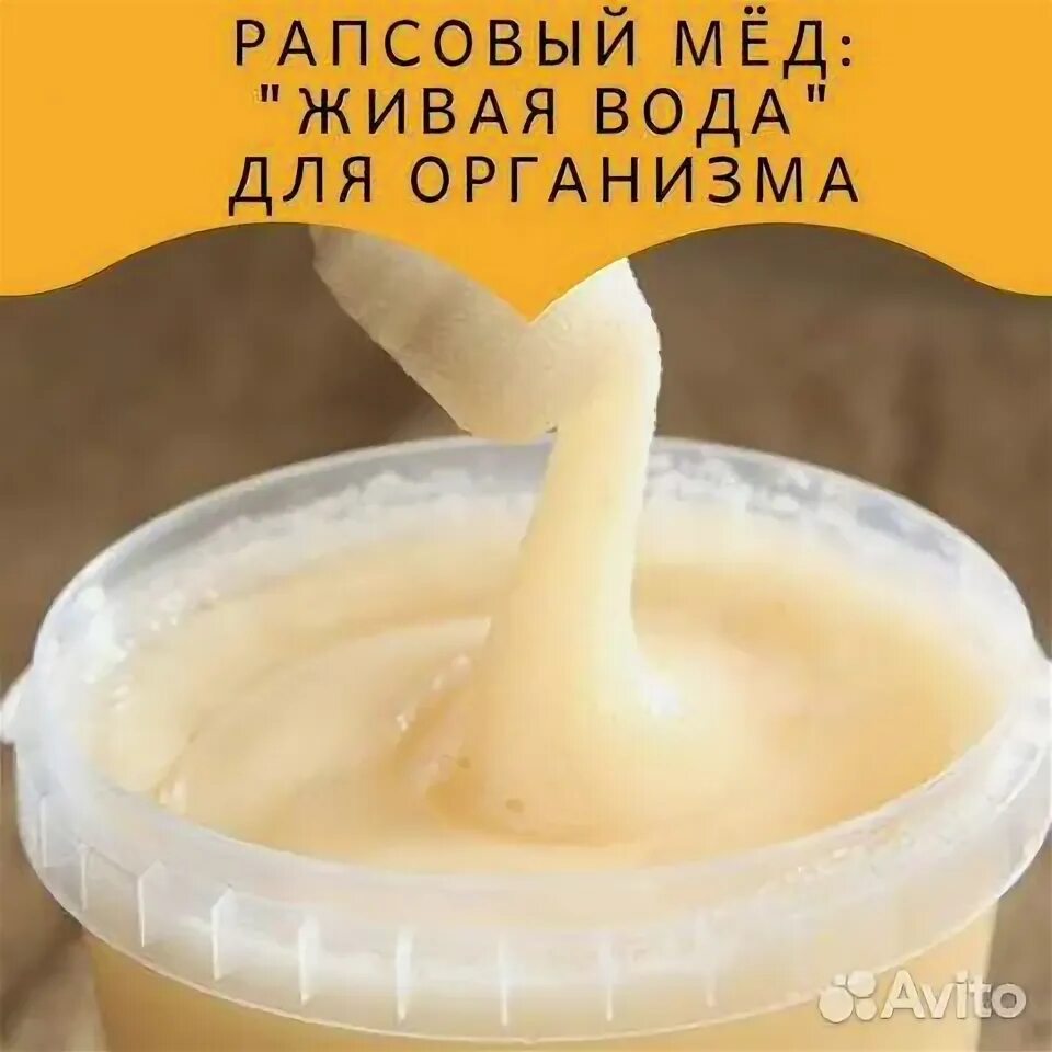 Мед рапсовый как выглядит фото и описание Мёд разный купить в Совхозном Товары для дома и дачи Авито