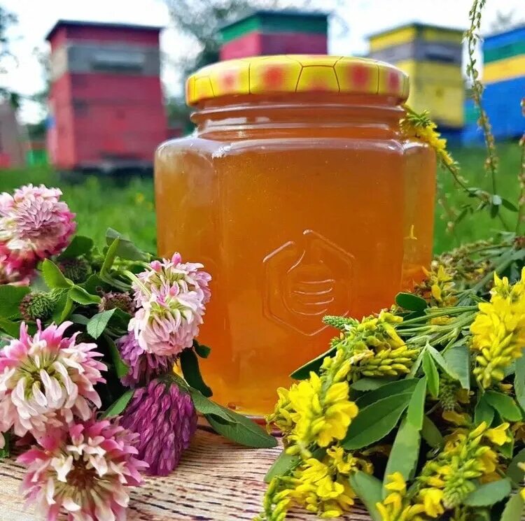 Мед разнотравье фото и описание Продам мед. Разнотравье. Собран в конце июля 2023 года в Алтайском крае. Дегуста