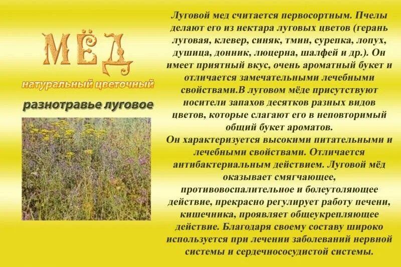 Мед разнотравье фото и описание Разнотравье мед описание Фитостудия-63.ру