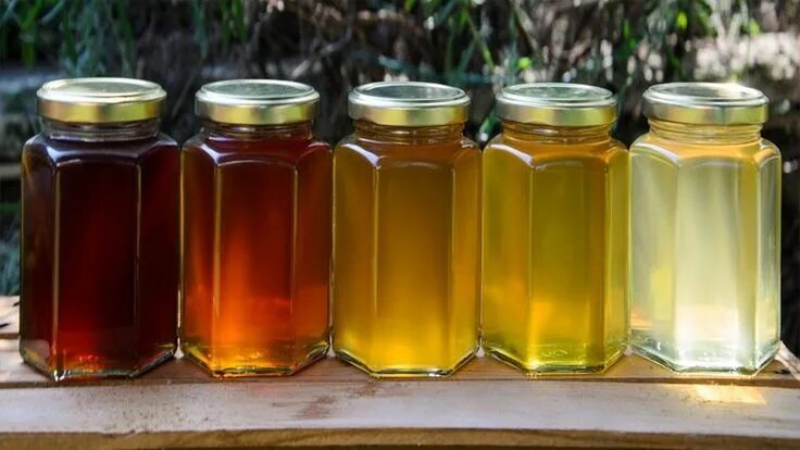 Мед разновидности с фото ♡ the cottage ♡ Honey shop, Mason jar mug, Bee keeping