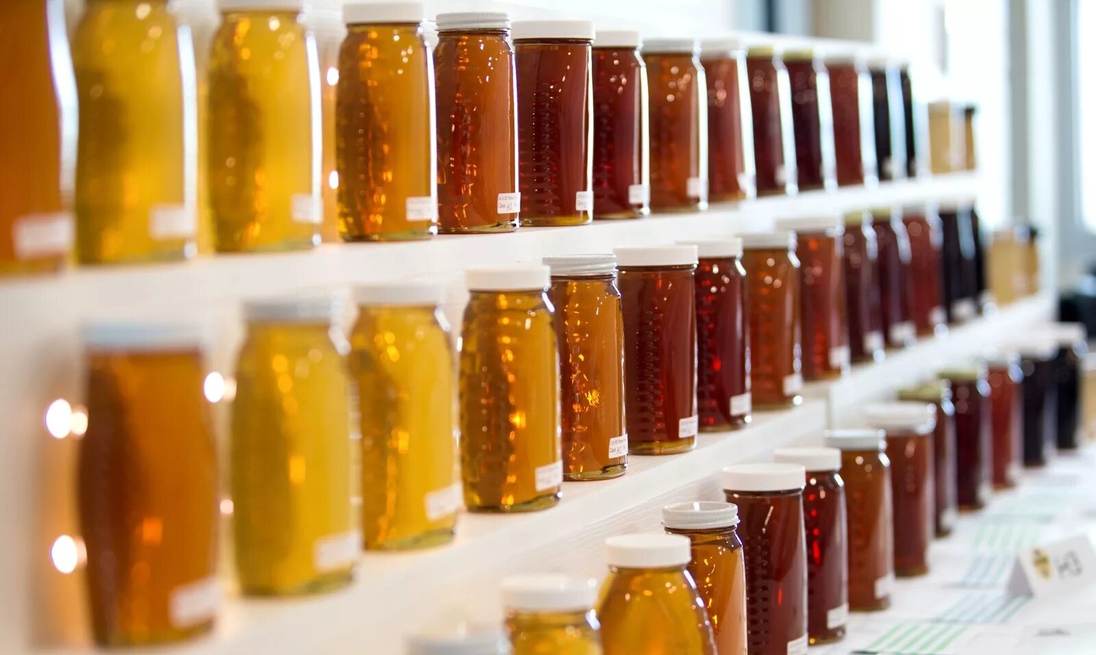 Мед разновидности с фото и названиями How to try a rejuvenating honey liqueur on Kos
