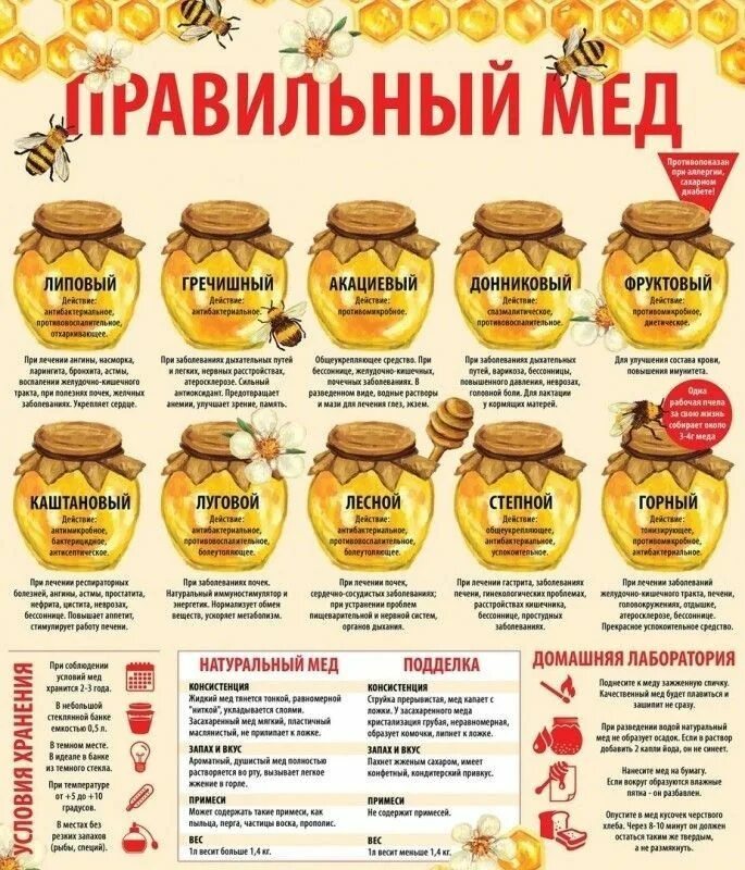 Мед разновидности с фото и названиями Продаю Натуральный мед: 2 500 тг. - Продукты питания / напитки Алматы на Olx