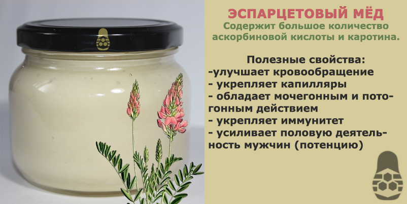 Мед репейный полезные свойства фото и цвет Эспарцетовый мёд: полезные свойства. Содержит большое количество аскорбиновой ки