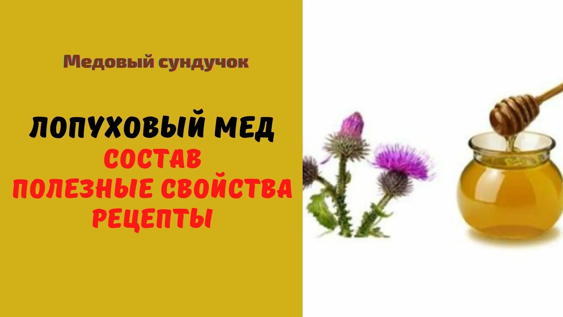 Мед репейный полезные свойства фото и цвет Лопуховый мёд: Описание. Полезные свойства. Рецепты. Применение - Медовый сундуч