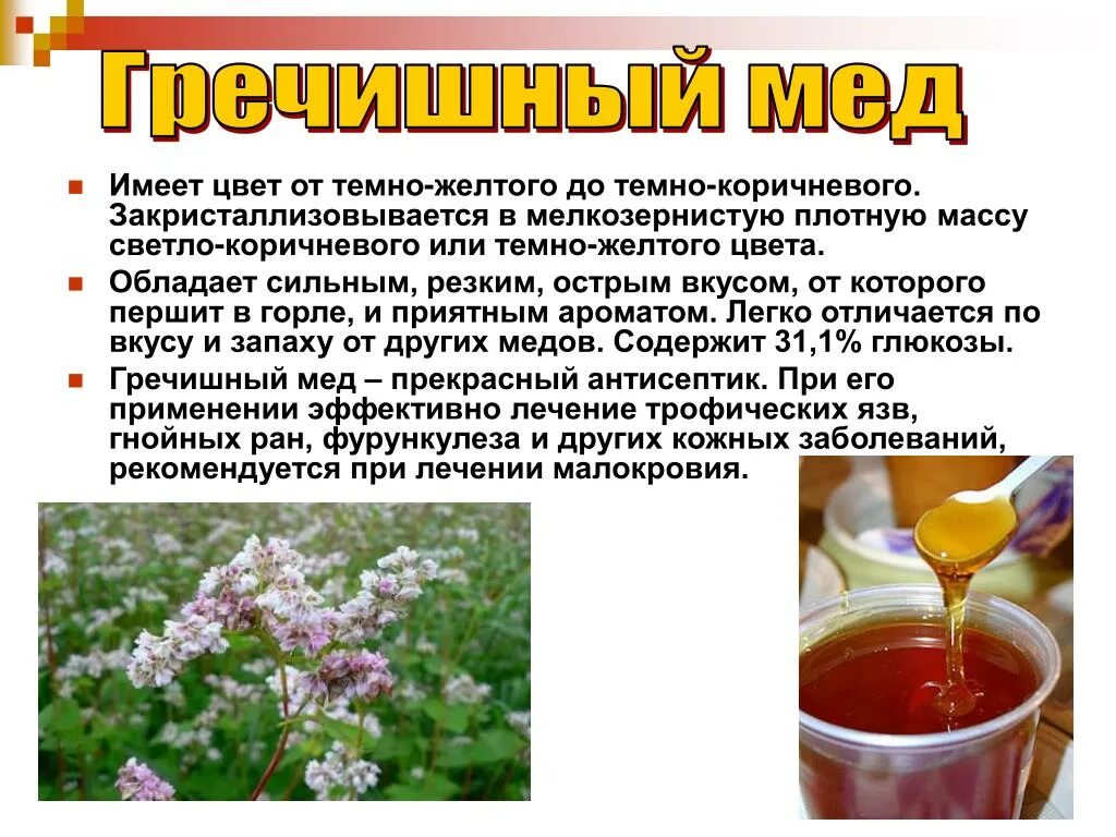 Мед репейный полезные свойства фото и цвет PPT - Мёд и его свойства PowerPoint Presentation, free download - ID:6633922