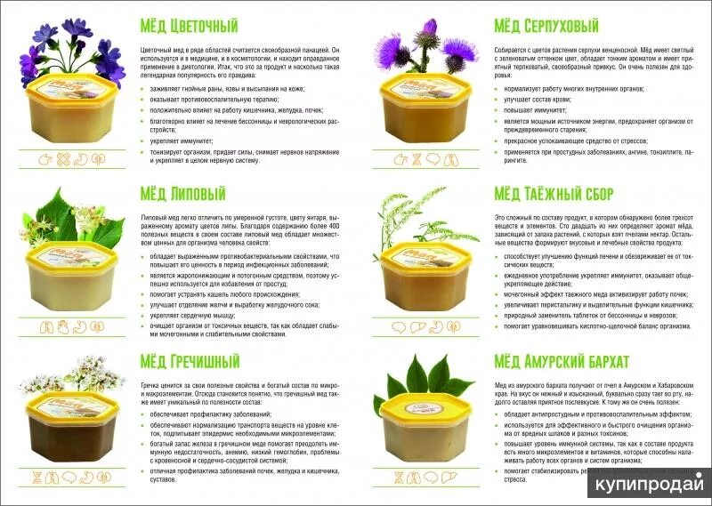 Мед репейный полезные свойства фото и цвет Продам мед - липа дальневосточная в Хабаровске