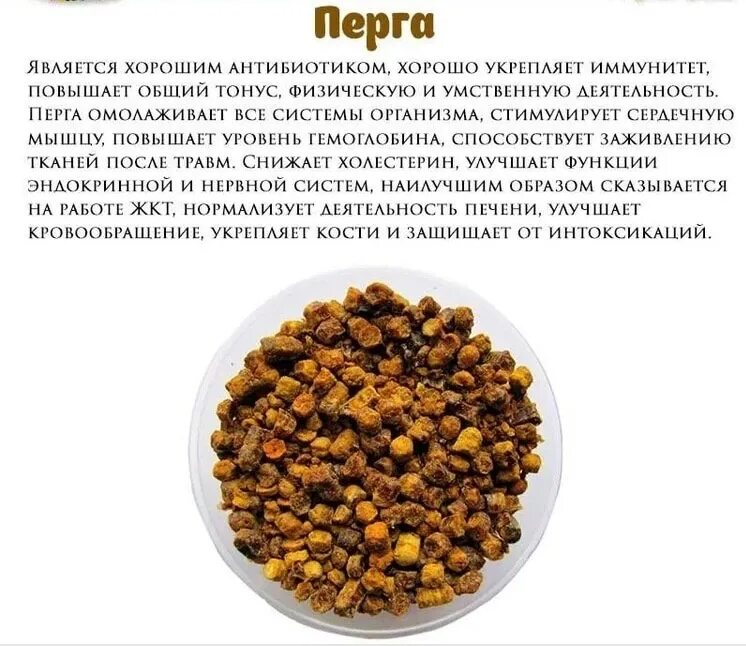 Мед с пергой как выглядит фото польза Spring time to strengthen immunity ! We keep lingonberries, cranberries, farts a