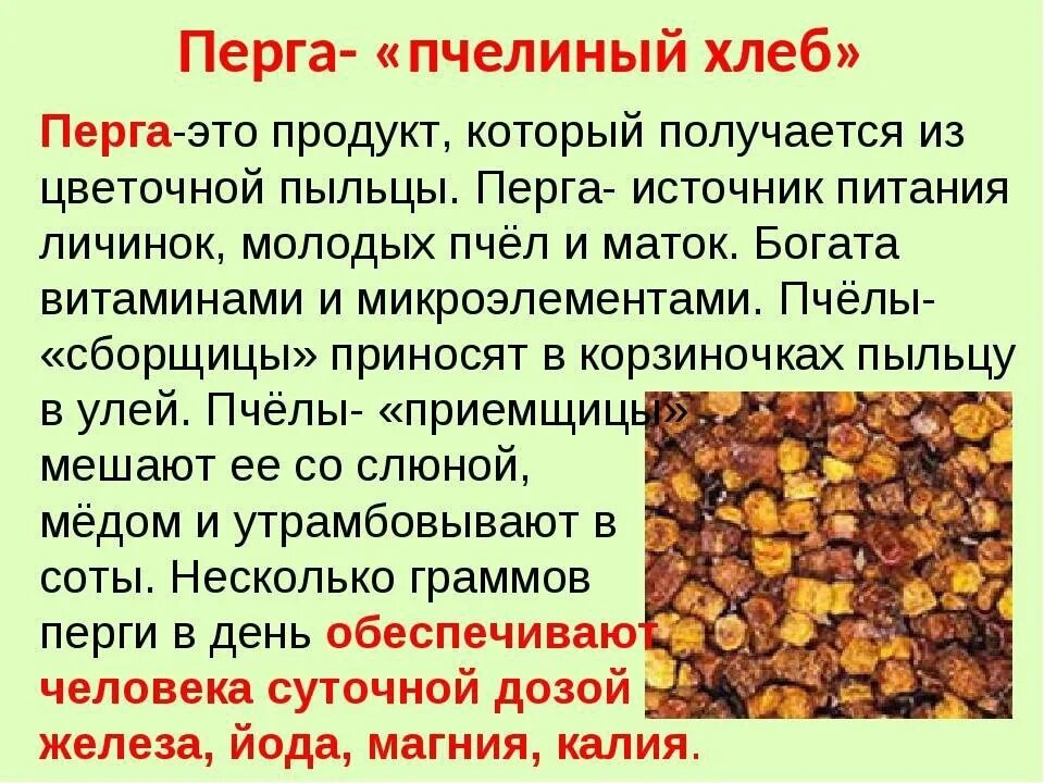 Мед с пергой как выглядит фото польза About the useful properties of honey did not write except that lazy. This topic 