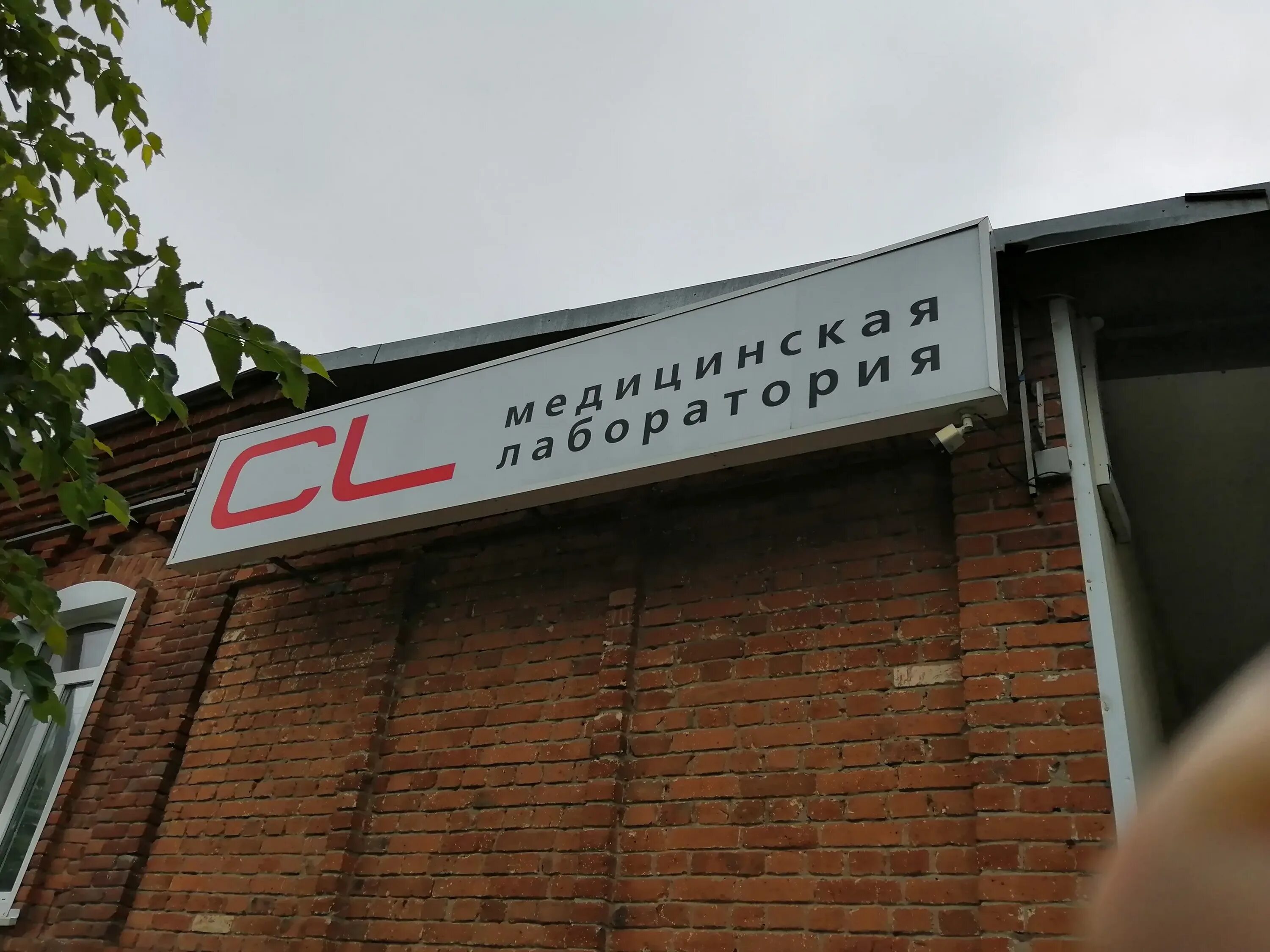 Мед сервис ул гоголя 2 фото Cl Lab, medical laboratory, Maykop, Gogolya Street, 2 - Yandex Maps