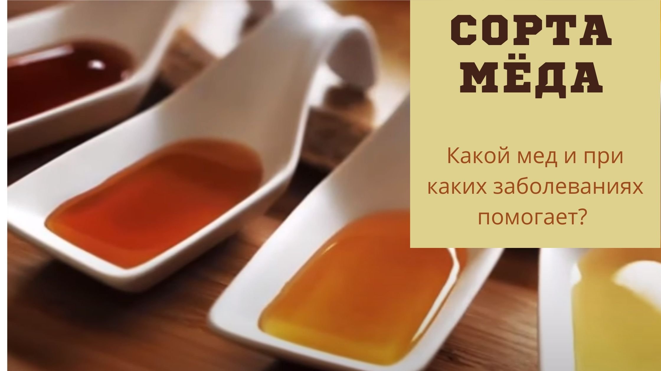 Мед сорта описание фото Каким мёдом излечить болезнь(По сортам) - Медовый сундучок