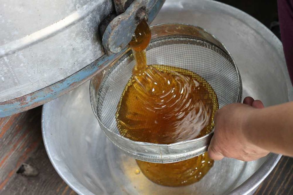 Мед своими руками в домашних условиях Продам свежий мёд: 1 800 тг. - Продукты питания / напитки Усть-Каменогорск на Ol