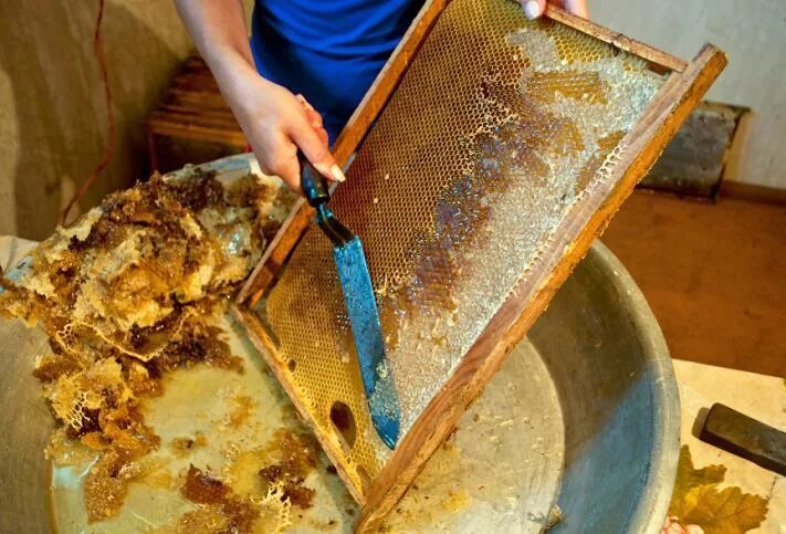 Мед своими руками в домашних условиях Make a honey extractor BeeKeeping