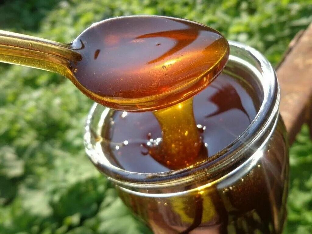 Мед темный фото Мед Алтайский - купить в интернет-магазине по низкой цене на Яндекс Маркете