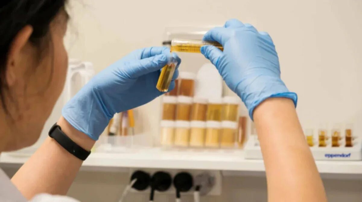 Мед тест полевая ул 6 фото Puriti Manuka Honey - Independently Tested for Glyphosate Residue - novita SG