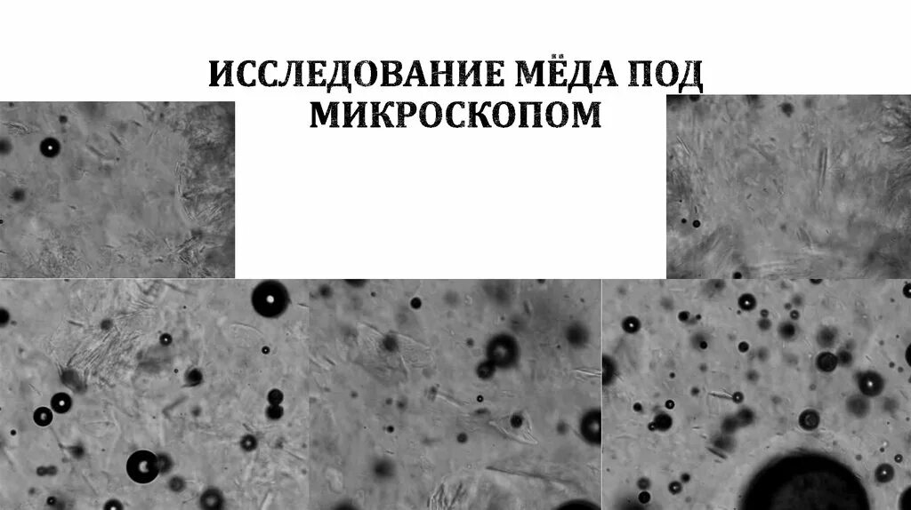 Мед в микроскопе фото Мед и пчелы - online presentation