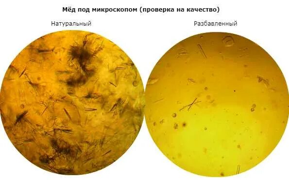 Мед в микроскопе фото Мед под микроскопом - CollectPhoto.ru