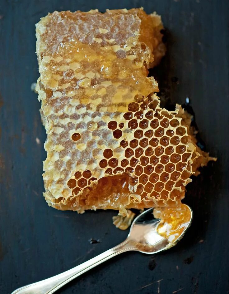 Мед в сотах фото honeycomb We could have our own bee hives. An endless supply of honey from our o