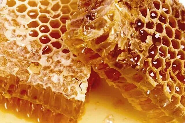 Мед в сотах фото красивые Pin by Nancy Riley on food Food, Raw honey, Healing food
