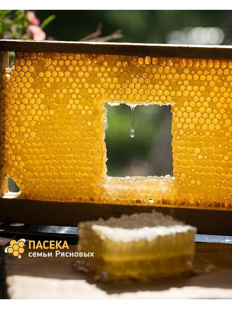 Мед в сотах фото красивые Мёд в сотах, с пасеки, медовые соты, соты с мёдом, полезно, сотовый мед Пасека С